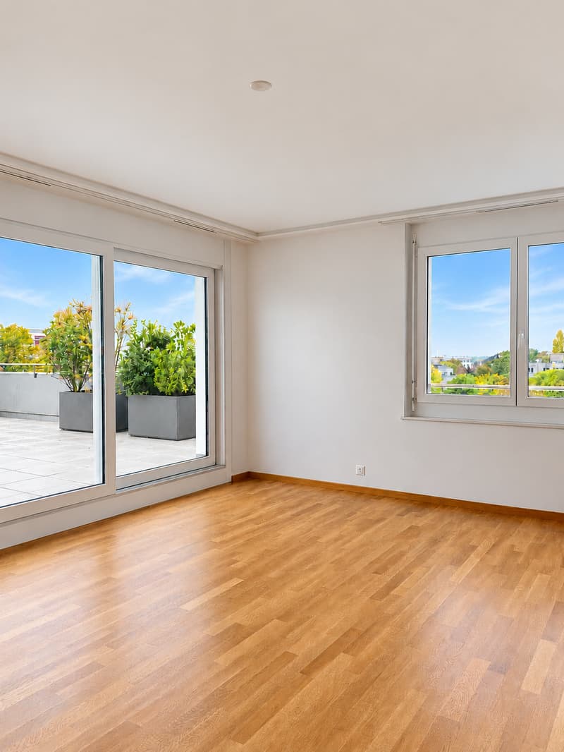 BEL ET GRAND APPARTEMENT EN ATTIQUE (3)