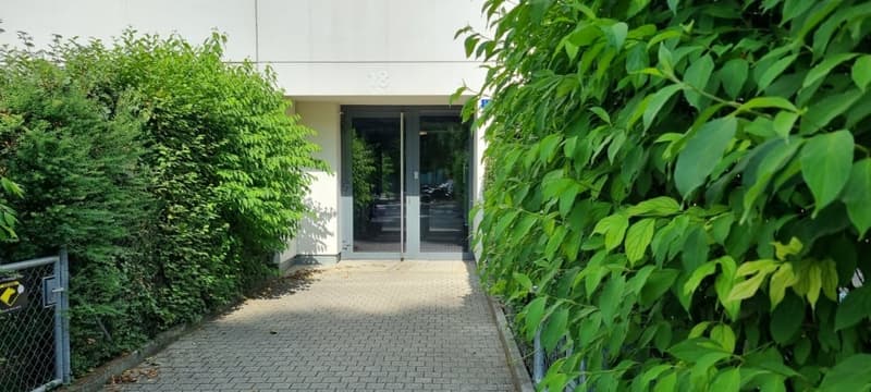 BEL ET GRAND APPARTEMENT EN ATTIQUE (14)