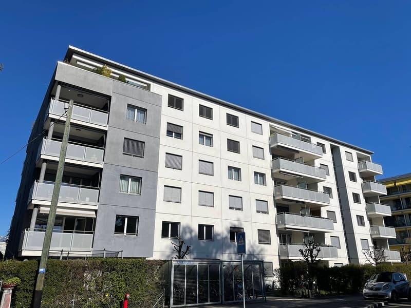 BEL ET GRAND APPARTEMENT EN ATTIQUE (15)