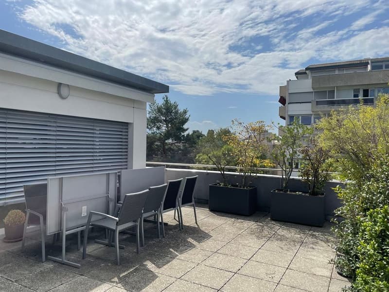BEL ET GRAND APPARTEMENT EN ATTIQUE (1)
