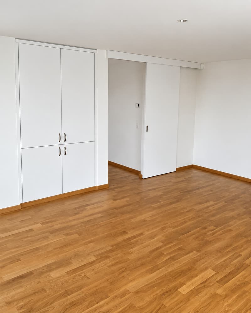 BEL ET GRAND APPARTEMENT EN ATTIQUE (7)