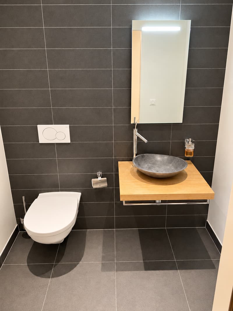 BEL ET GRAND APPARTEMENT EN ATTIQUE (8)