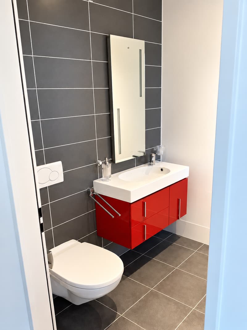 BEL ET GRAND APPARTEMENT EN ATTIQUE (10)