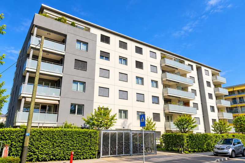 BEL ET GRAND APPARTEMENT EN ATTIQUE (12)