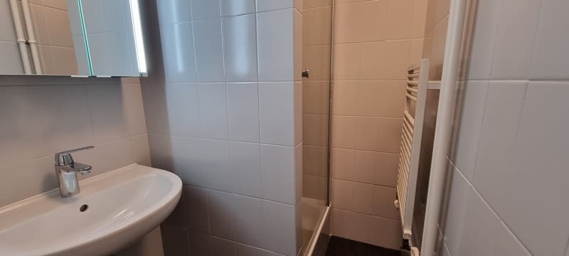 GRAND APPARTEMENT DE 6 PIÈCES (7)