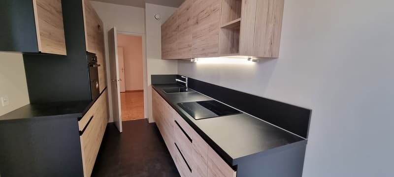 GRAND APPARTEMENT DE 6 PIÈCES (3)