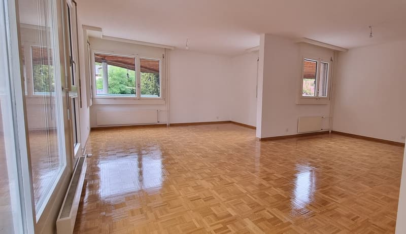 GRAND APPARTEMENT DE 6 PIÈCES (2)