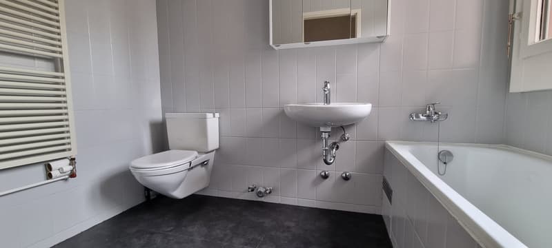 GRAND APPARTEMENT DE 6 PIÈCES (6)