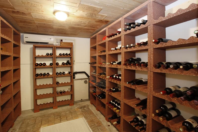 Bella casa familiare con piscina e dépendance (12)
