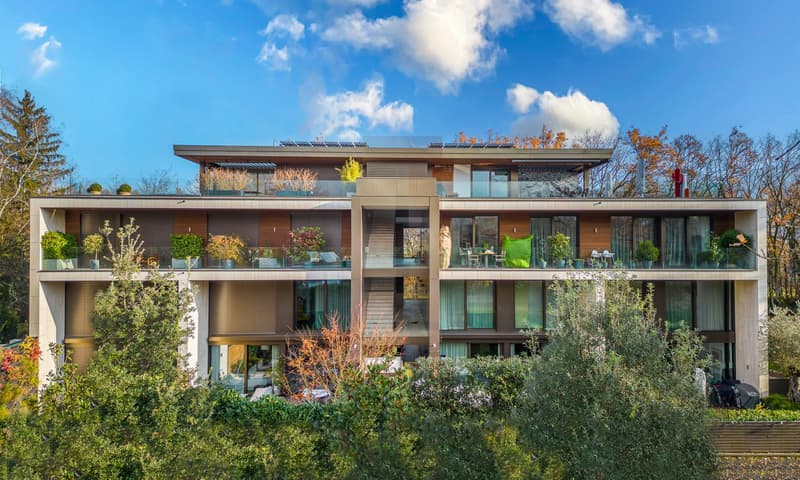Magnifices Dachwohnung-Duplex in der Attika mit Terrasse und Pool (2)