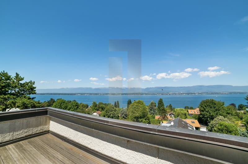 Sublime casa con vista lago ad Anières (8)