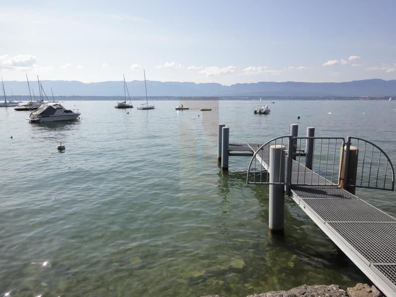 Beautifully furnished contemporary waterfront villa (12)