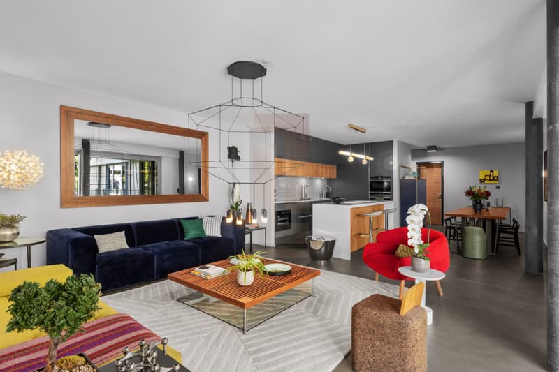 Magnifique appartement clé-en-main à quelques pas du lac (3)
