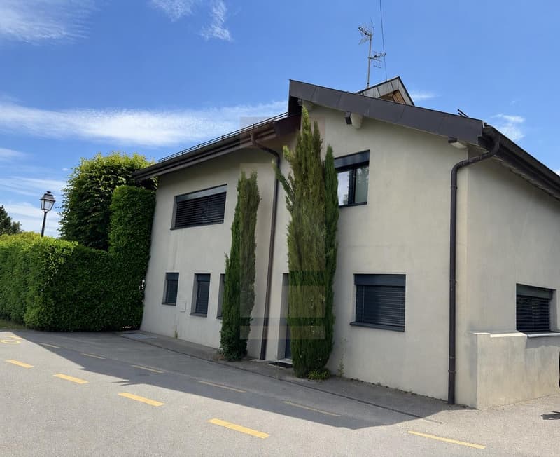 Bella villa contemporanea nel cuore della campagna ginevrina (1)