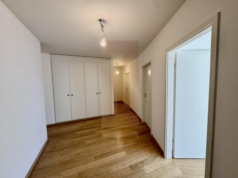 Bello appartamento familiare nel centro di Vesenaz con vista lago (2)
