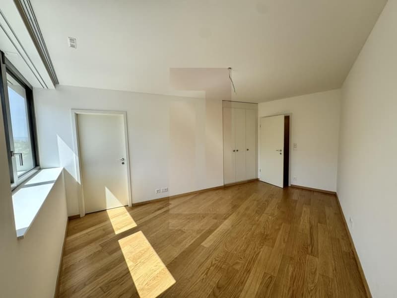 Bello appartamento familiare nel centro di Vesenaz con vista lago (12)