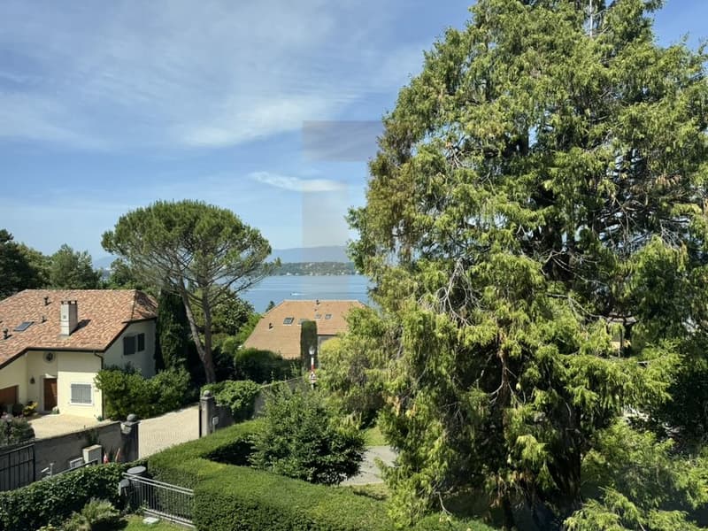 Bello appartamento familiare nel centro di Vesenaz con vista lago (6)