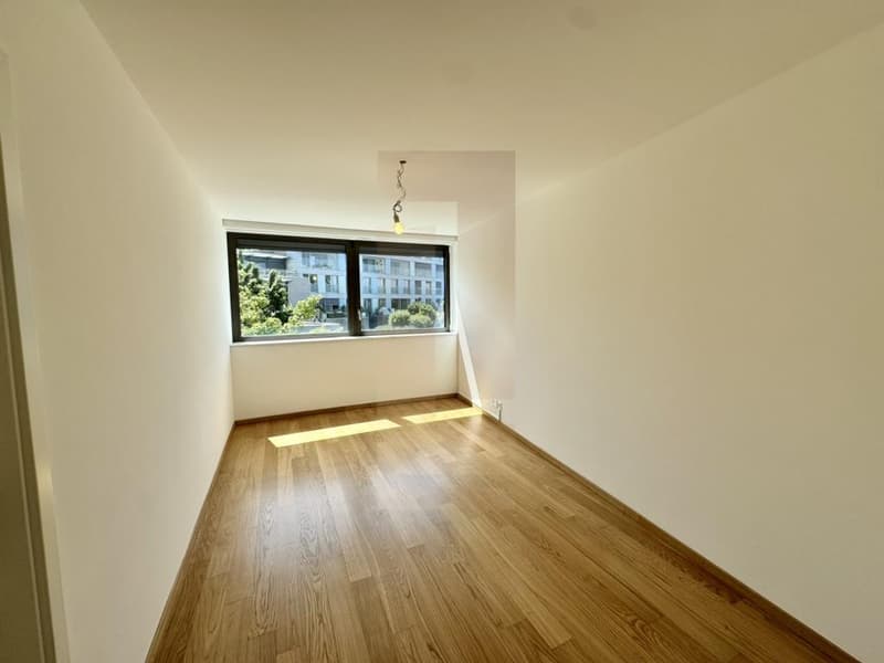 Bello appartamento familiare nel centro di Vesenaz con vista lago (9)
