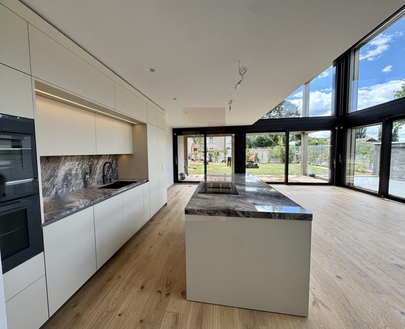 Bellissima villa contemporanea nuova (5)
