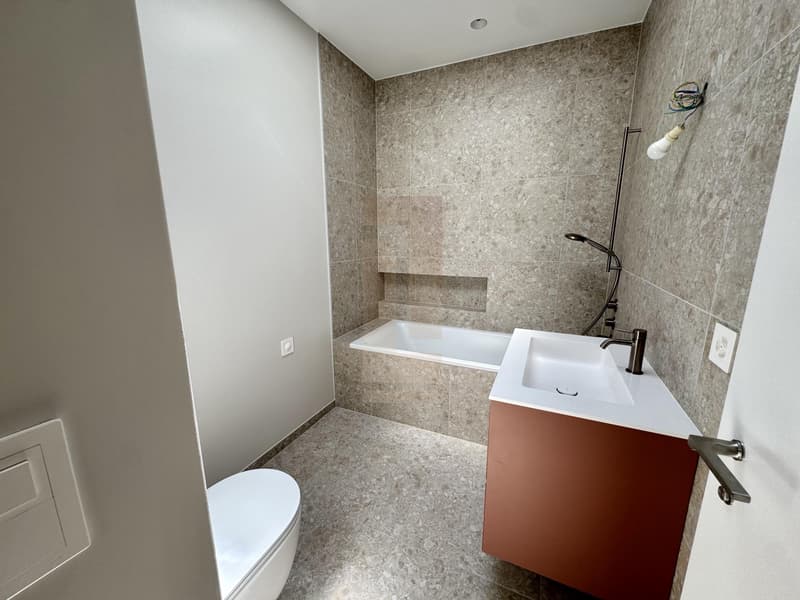 Bellissima villa contemporanea nuova (13)