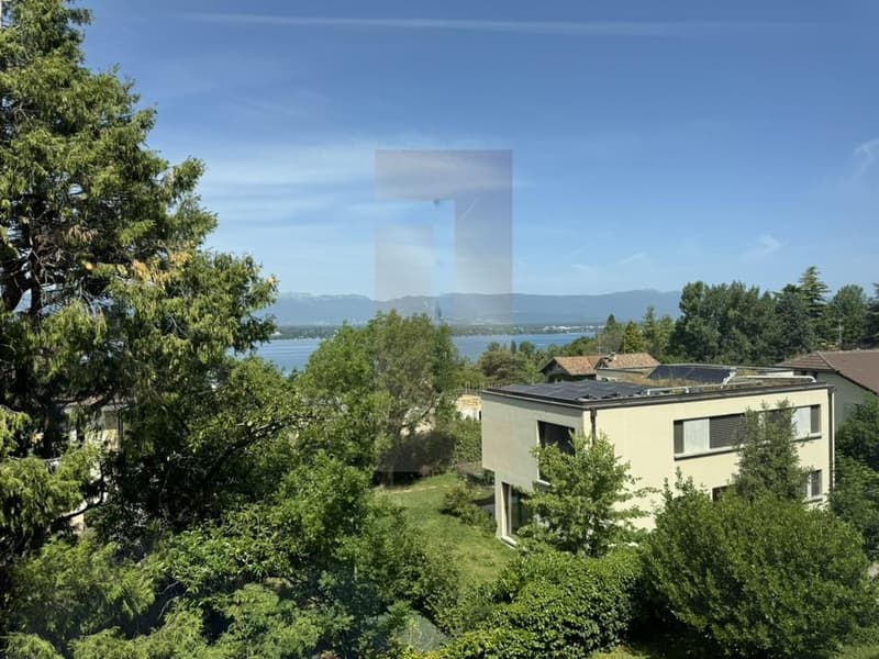 Bello appartamento familiare nel centro di Vesenaz con vista lago (7)