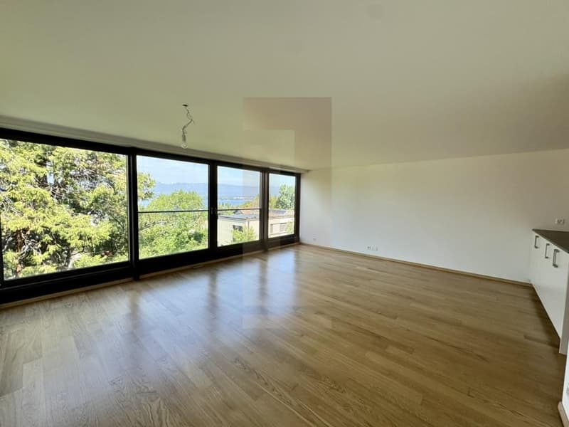 Bello appartamento familiare nel centro di Vesenaz con vista lago (5)