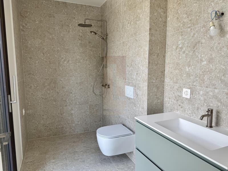 Bella villa contemporanea nuova (12)