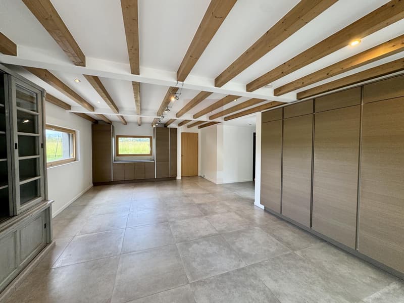 Belle villa contemporaine au coeur de la campagne genevoise (2)