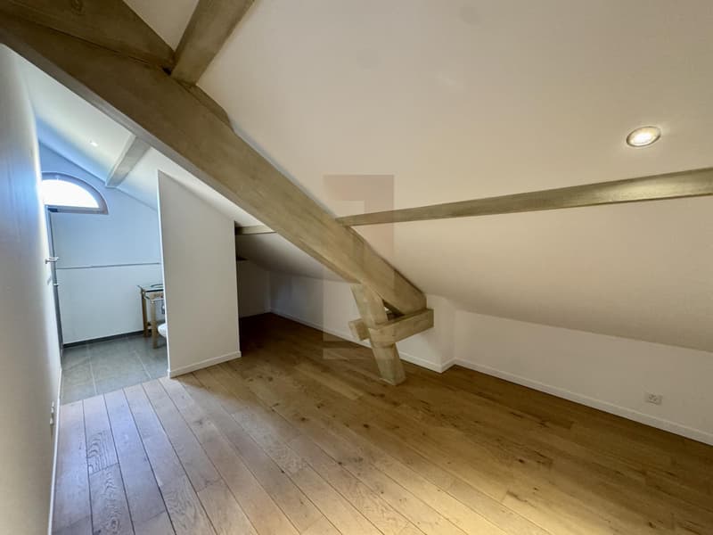 Belle villa contemporaine au coeur de la campagne genevoise (12)