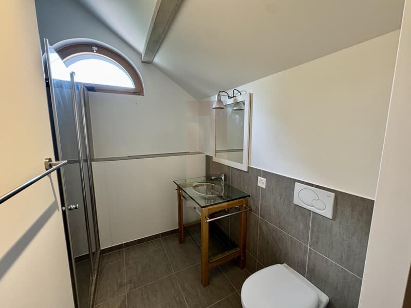 Belle villa contemporaine au coeur de la campagne genevoise (13)
