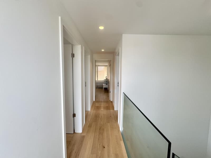 Belle villa contemporaine avec jardin (6)