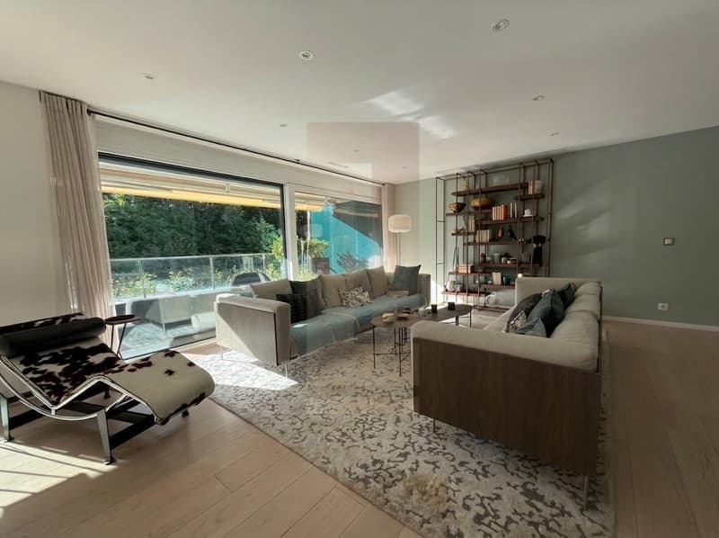 Appartement d'exception avec terrasse au Petit-Saconnex (2)