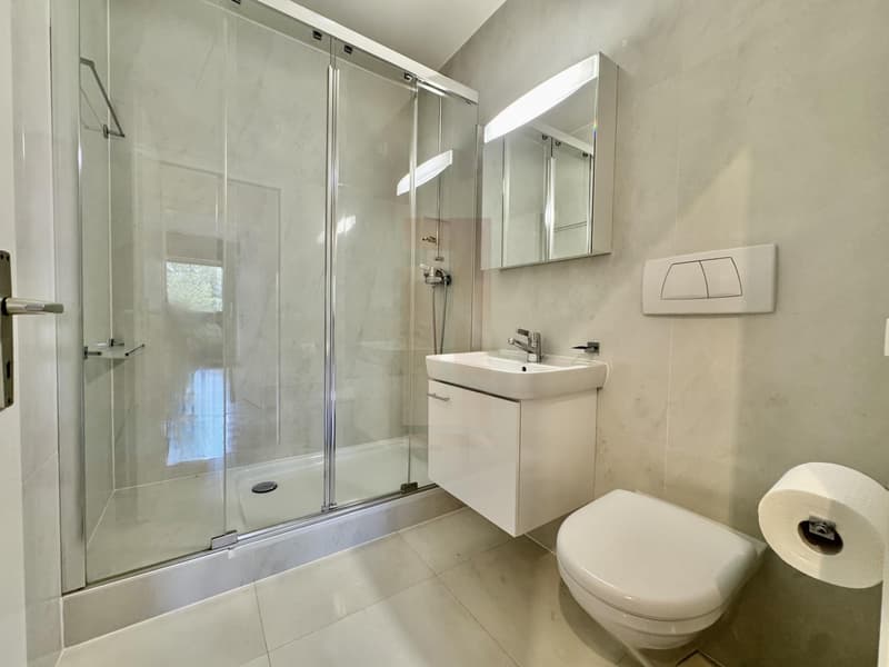 Appartement de haut standing (9)
