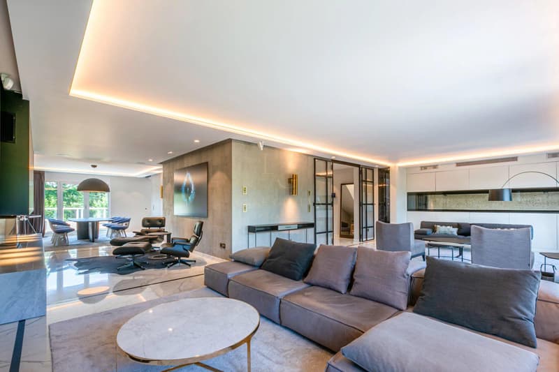 Luxurious renovated duplex attic! (2)