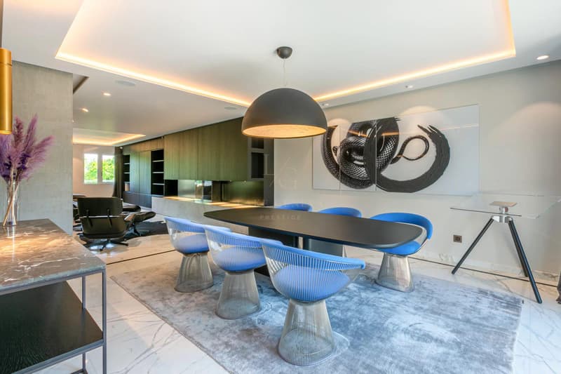 Luxurious renovated duplex attic! (9)