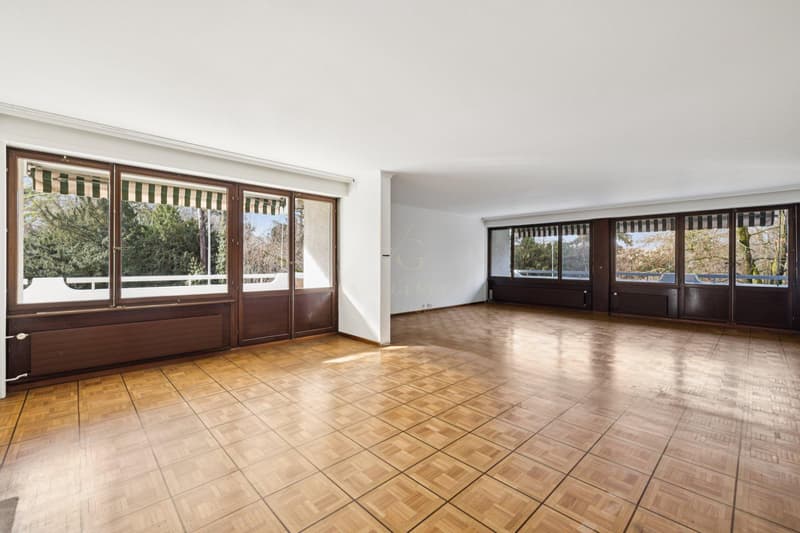 Exclusivité grand appartement sur le Parc Alfred Bertrand (2)