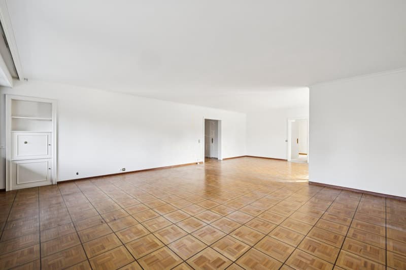 Exclusivité grand appartement sur le Parc Alfred Bertrand (4)
