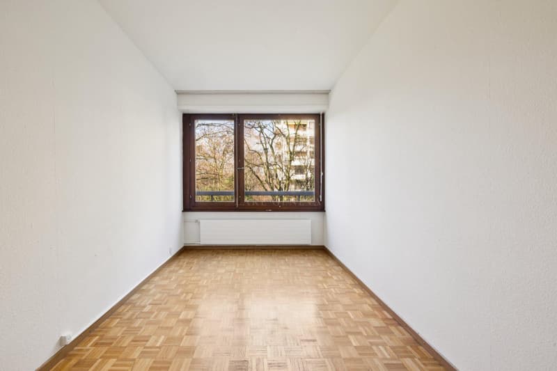 Exclusivité grand appartement sur le Parc Alfred Bertrand (8)