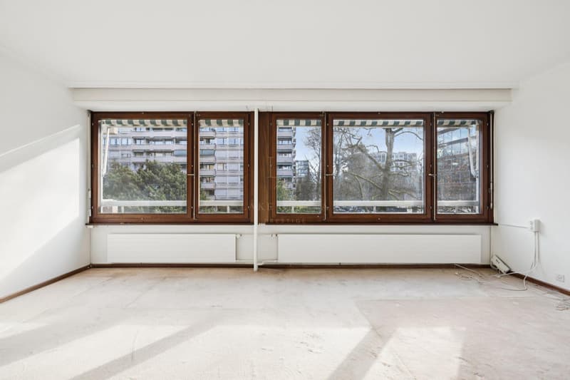 Exclusivité grand appartement sur le Parc Alfred Bertrand (7)