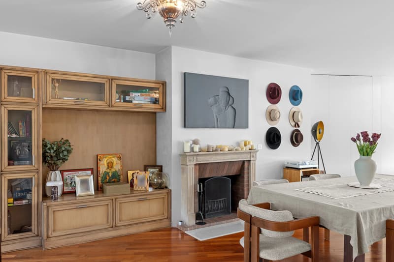 Duplex de caractère aux portes du parc Bertrand (6)