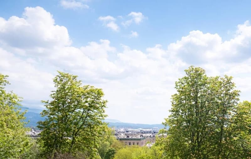 ÉLÉGANT APPARTEMENT DE CARACTÈRE AVEC VUE DÉGAGÉE SUR LE PARC DES BASTIONS (13)