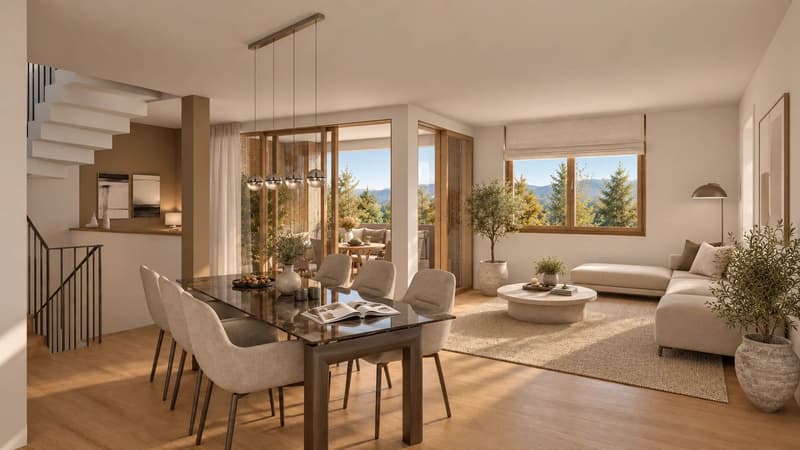 Une villa contemporaine aux espaces de vie lumineux et à l'architecture élégante (3)
