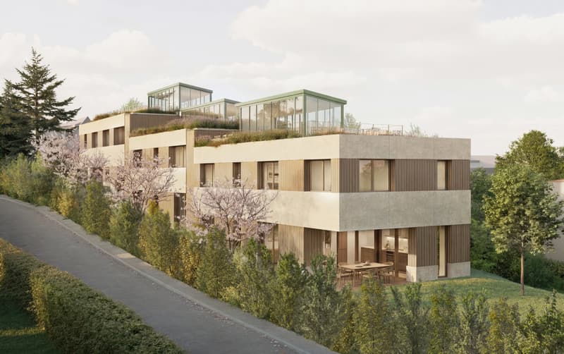 Une villa contemporaine d'exception dans un écrin de verdure (3)