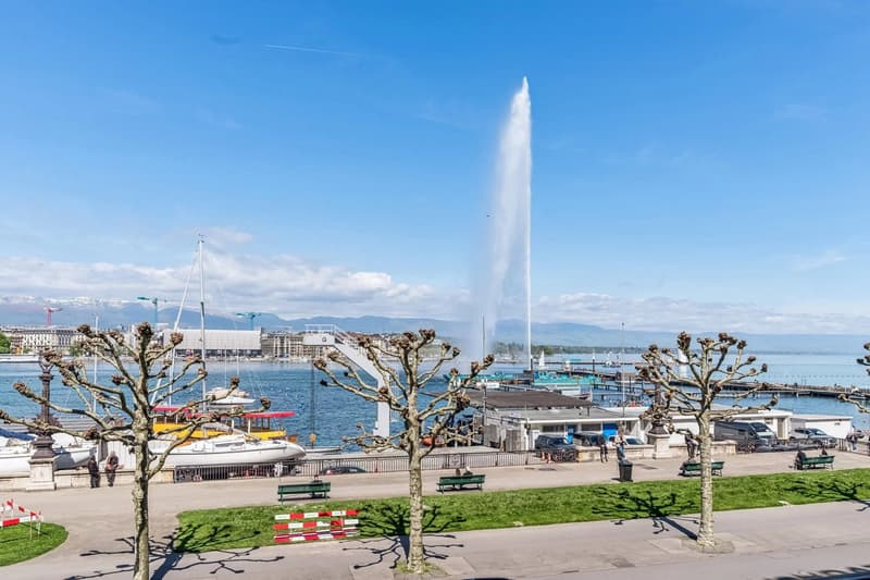 OFF-MARKET - Magnifique appartement de Maître traversant face au lac (1)