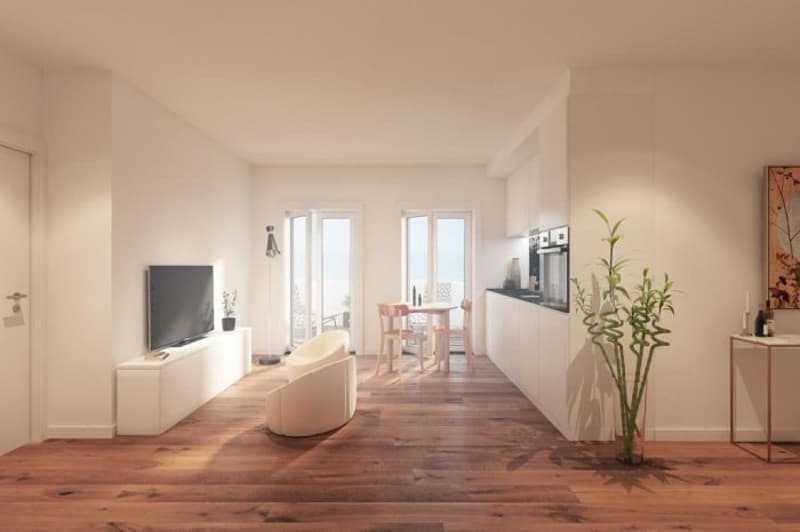 Real estate promotion in the center of Porto. Apartments for sale on plans (4)