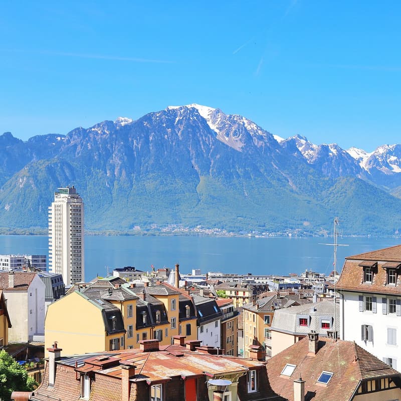 Cityscape with multiple buildings, mountains, and a lake in the background
