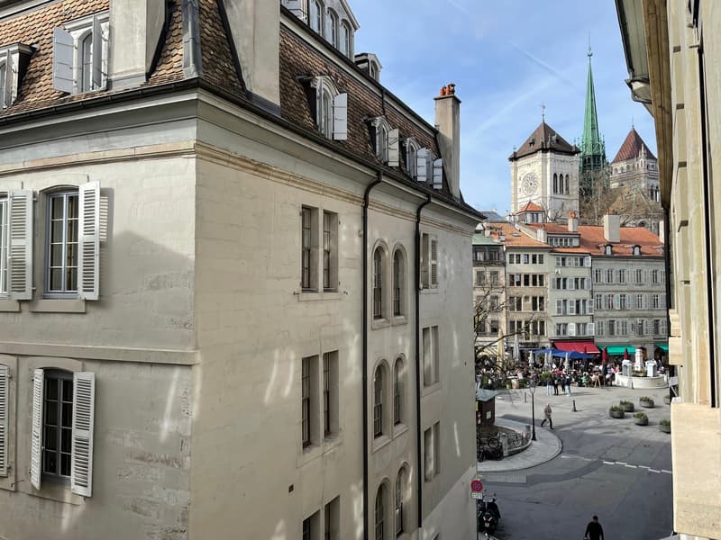 Charme et Elégance, 6 pièces, Vieille-Ville, Old Town Geneva, beautiful  6 rooms flat, Charm (1)