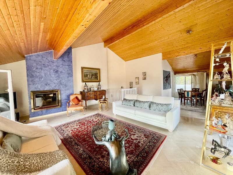 Bel appartement en attique de 6 pièces à Conches dans un magnifique parc de 30'000 m2 (7)