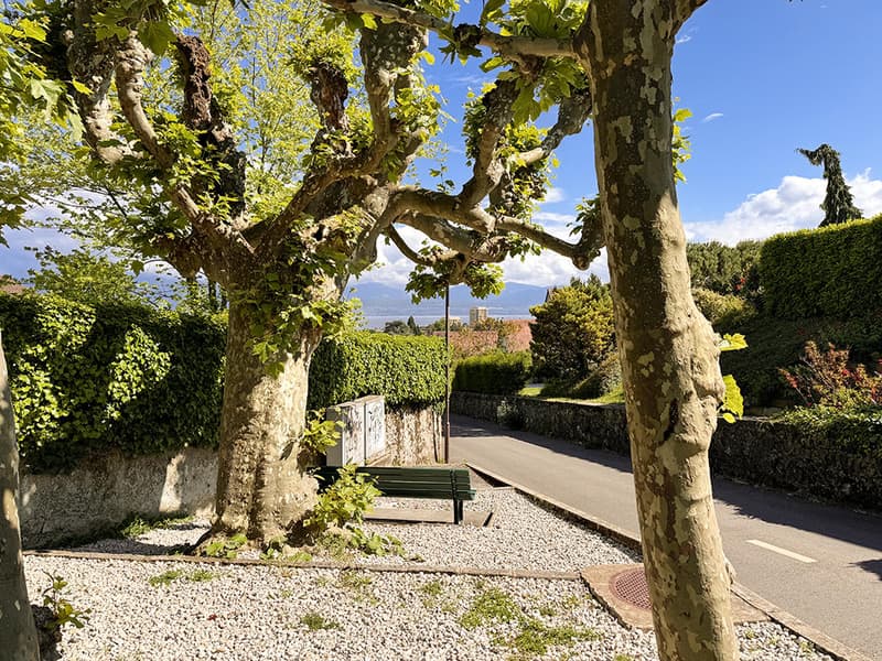 Between Morges and Lausanne - Renovated House with Pool (2)