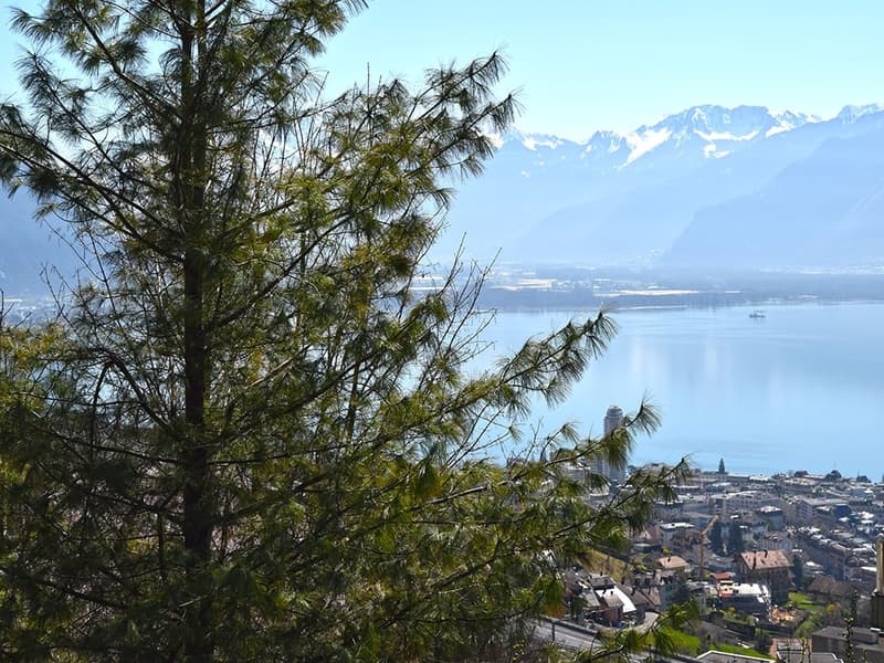 MONTREUX - VILLA D’EXCEPTION AVEC VUE PANORAMIQUE (1)